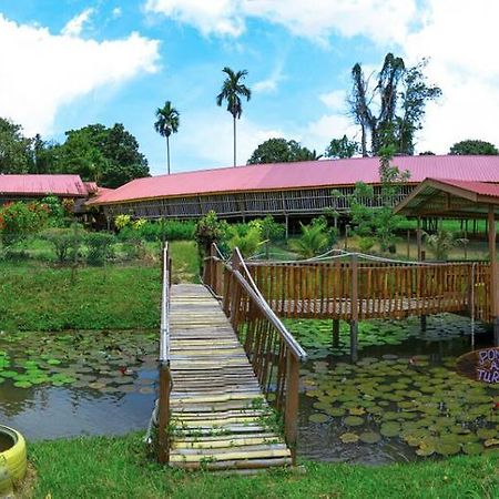 Sabah Tea Garden-Longhouses Ranau Exteriör bild
