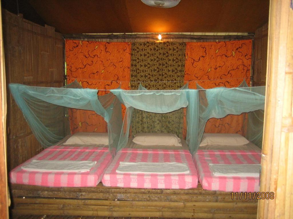 Sabah Tea Garden-Longhouses Ranau Rum bild