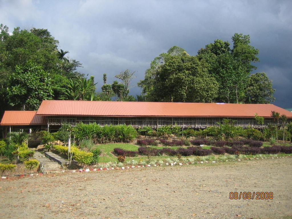 Sabah Tea Garden-Longhouses Ranau Exteriör bild