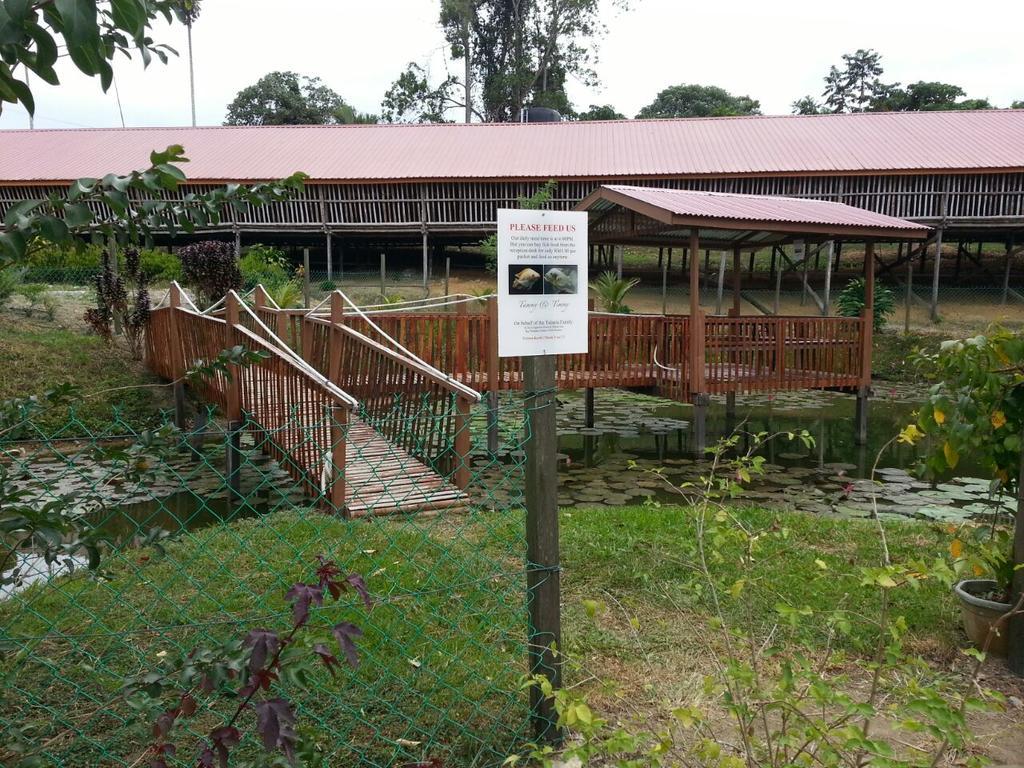 Sabah Tea Garden-Longhouses Ranau Exteriör bild
