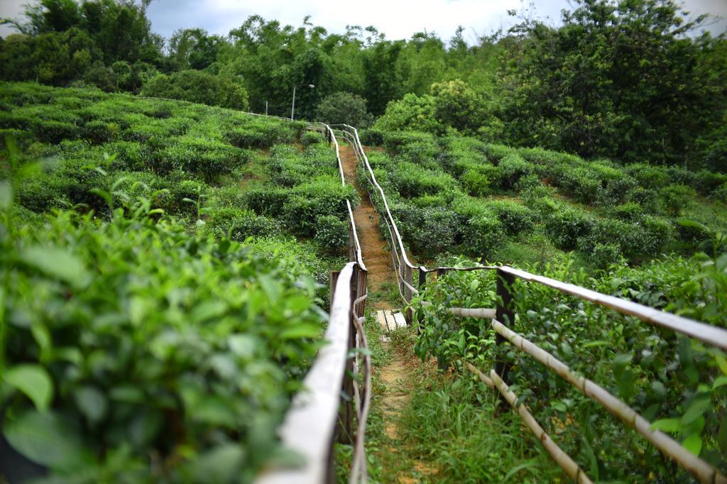 Sabah Tea Garden-Longhouses Ranau Exteriör bild
