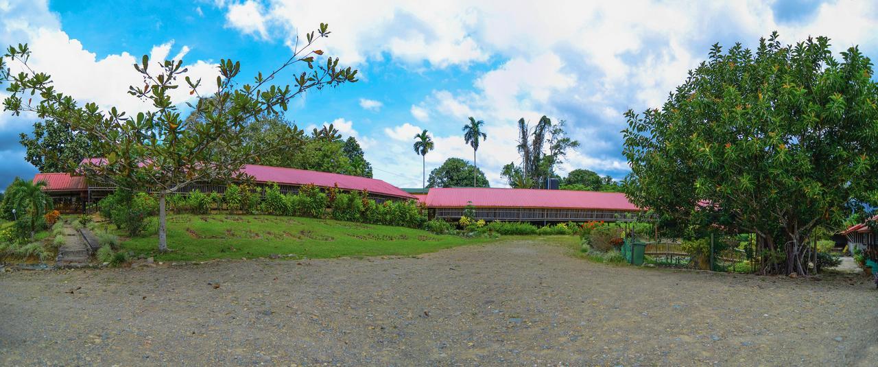 Sabah Tea Garden-Longhouses Ranau Exteriör bild