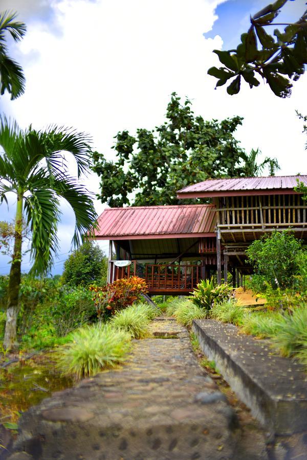 Sabah Tea Garden-Longhouses Ranau Exteriör bild