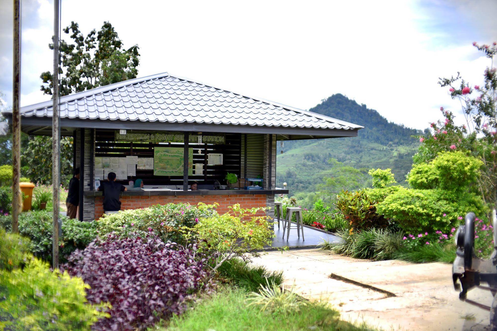 Sabah Tea Garden-Longhouses Ranau Exteriör bild
